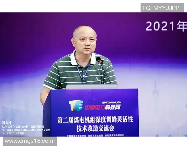 武汉羽毛球队灵活性分析与战术创新的深度探讨